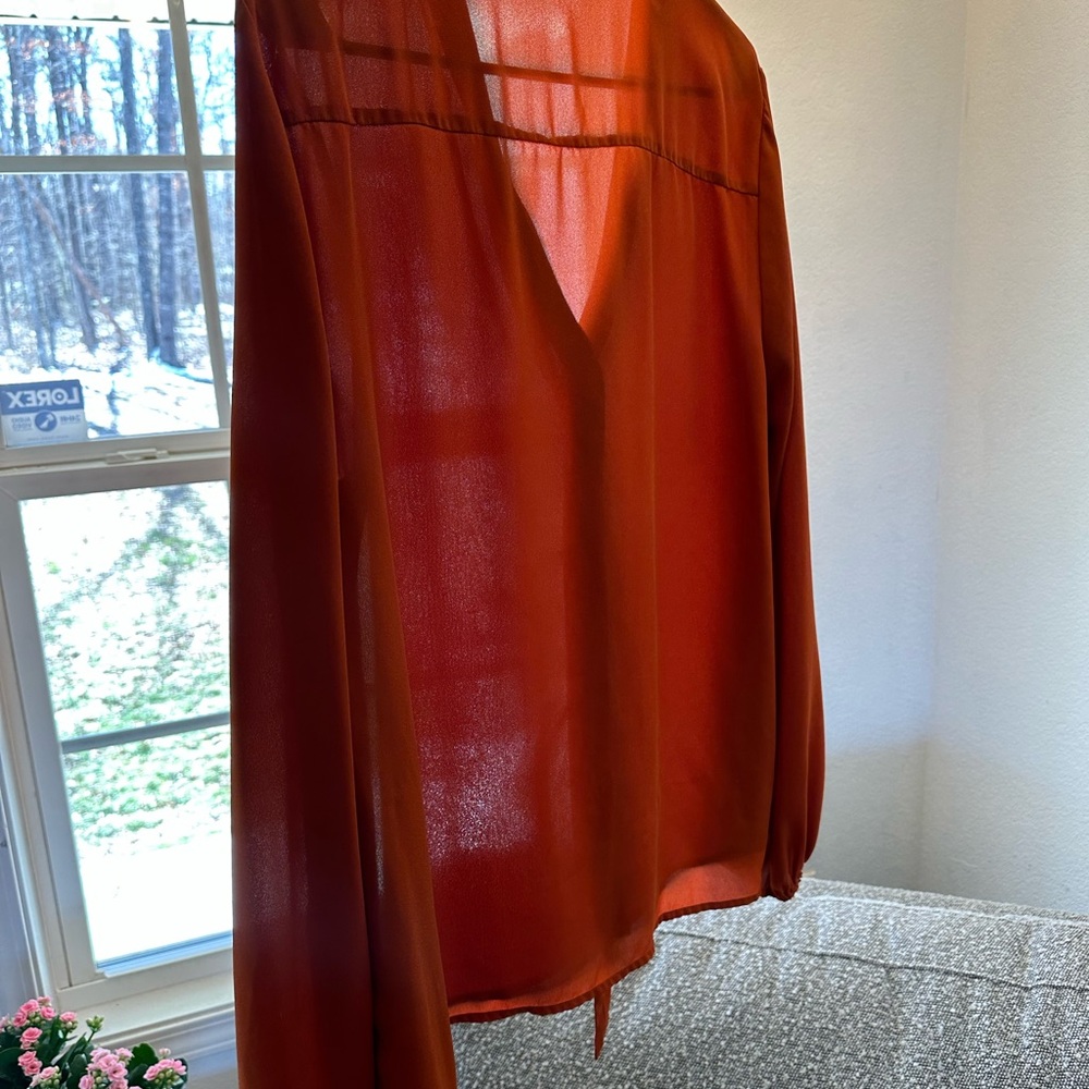 XL Rust Orange Sheer Blouse - Picture 3 of 4